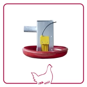 ته خط دانخوری بشقابی
