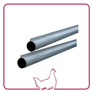 لوله تاجدار دانخوری بشقابی