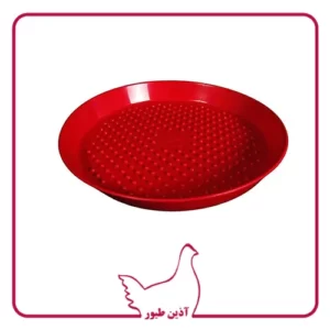 سینی جوجه